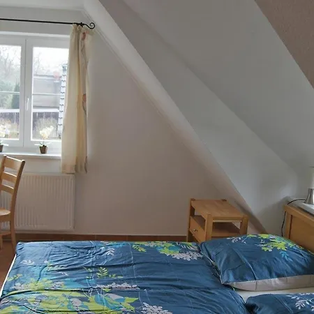 Blaue Haus Ws-9a *