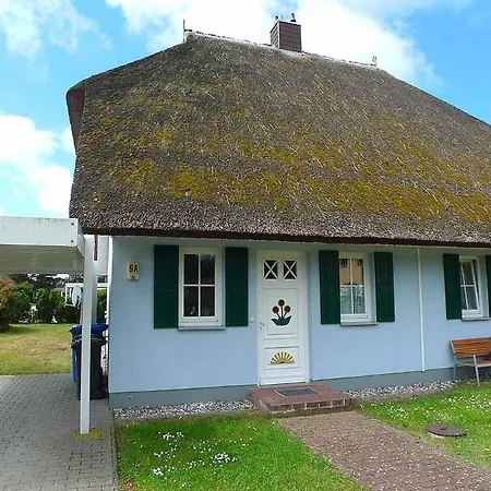 Blaue Haus Ws-9a *